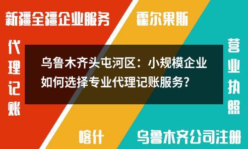 烏魯木齊頭屯河區：小規模企業如何選擇專業代理記賬服務？
