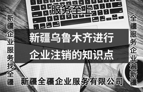 新疆烏魯木齊進行企業注銷的知識點