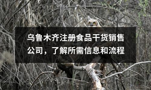 烏魯木齊注冊食品干貨銷售公司，了解所需信息和流程