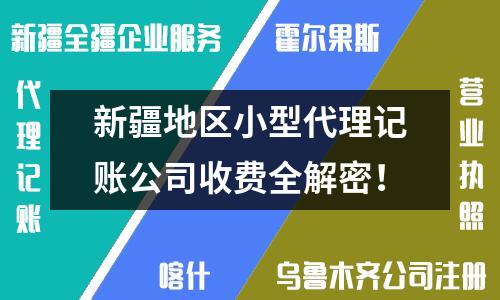 新疆地區小型代理記賬公司收費全解密！