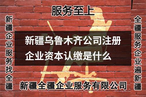 新疆烏魯木齊公司注冊企業資本認繳是什么