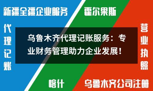烏魯木齊代理記賬服務：專業財務管理助力企業發展！