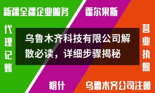 烏魯木齊科技有限公司解散必讀，詳細步驟揭秘